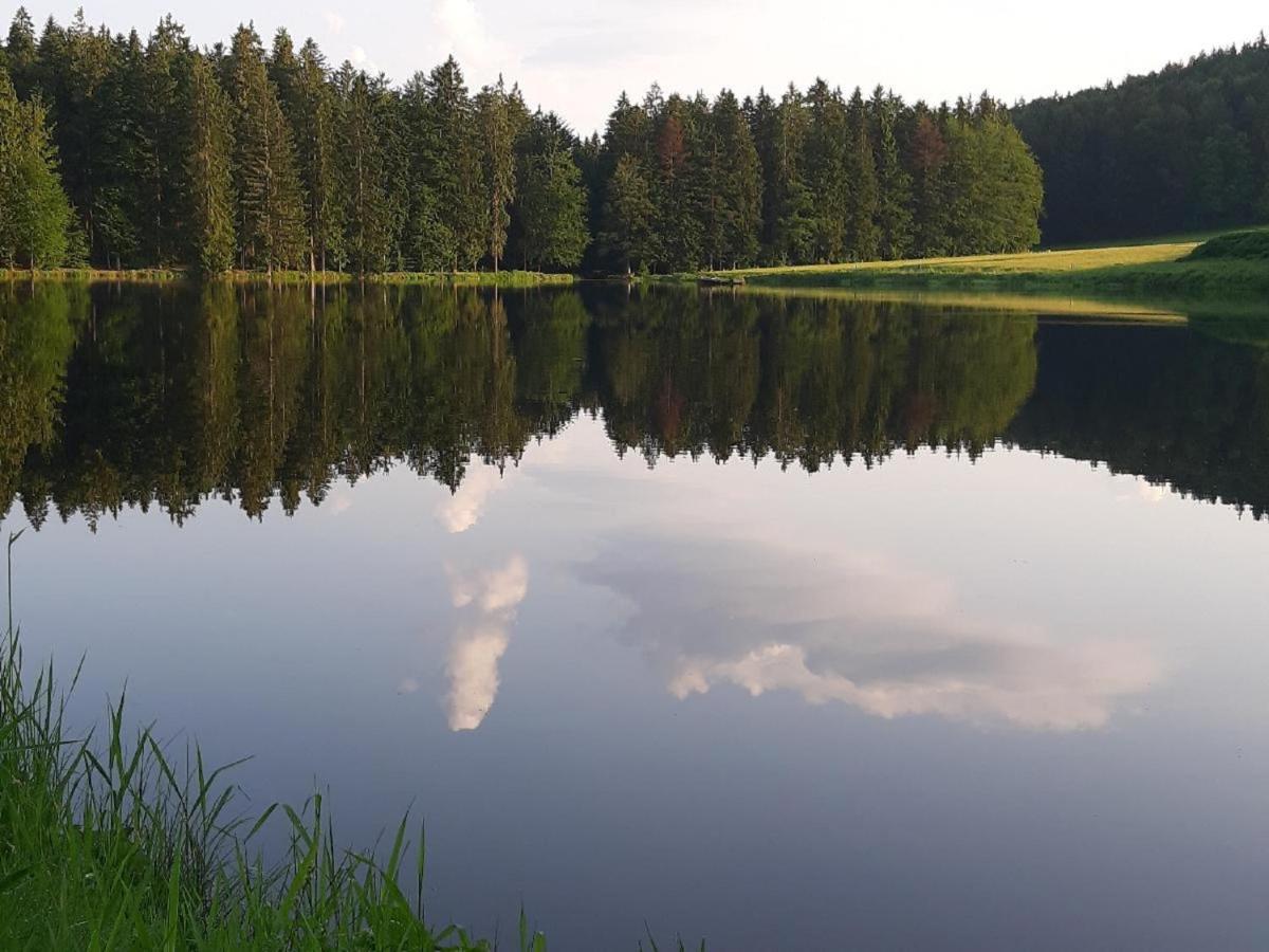 Gaestehaus Am Goldberg Санкт-Освальд Экстерьер фото